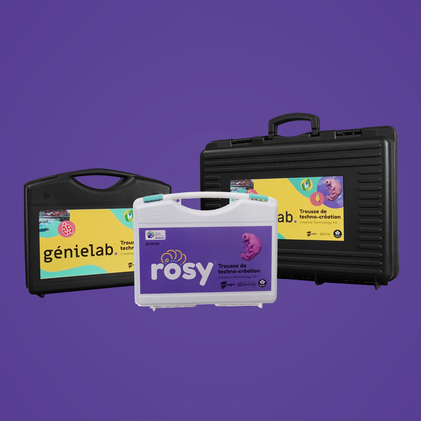Trousse Rosy
