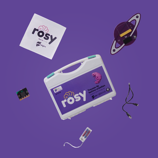 Trousse Rosy