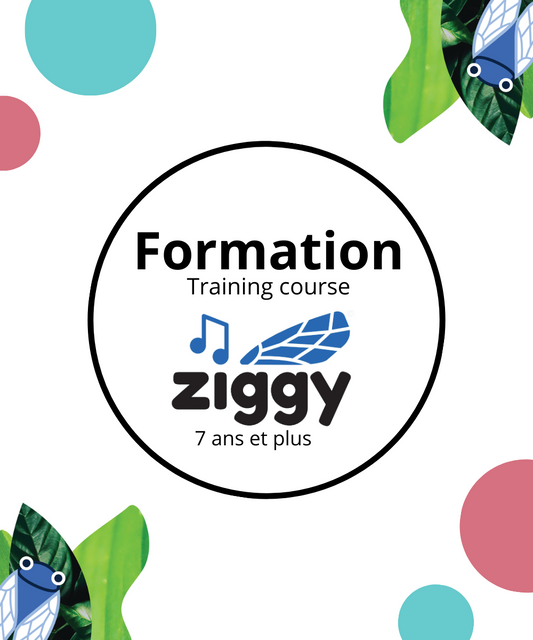 Formation Ziggy